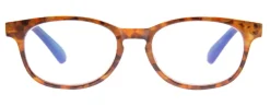 Check Accepted (Blue-Light Computer Reading Glasses)